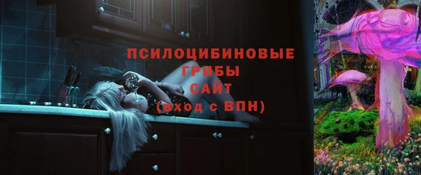 сатива Нея