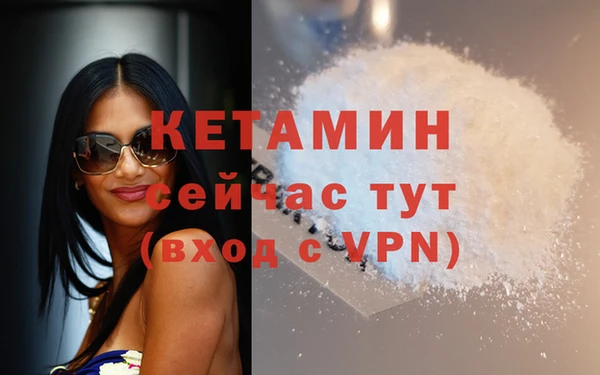 сатива Нея