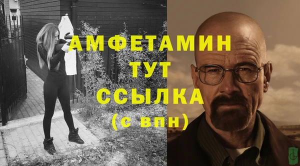сатива Нея