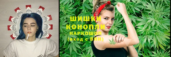 ПСИЛОЦИБИНОВЫЕ ГРИБЫ Новозыбков