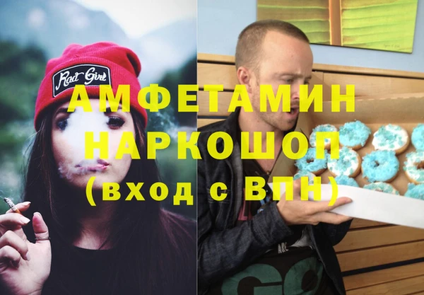 ПСИЛОЦИБИНОВЫЕ ГРИБЫ Новозыбков