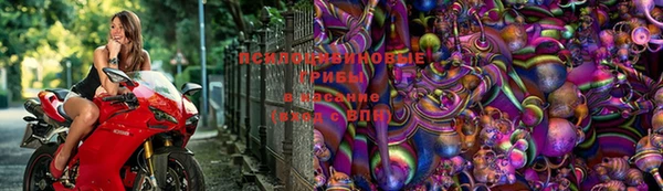 Альфа ПВП Наволоки