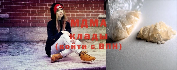 ПСИЛОЦИБИНОВЫЕ ГРИБЫ Новозыбков
