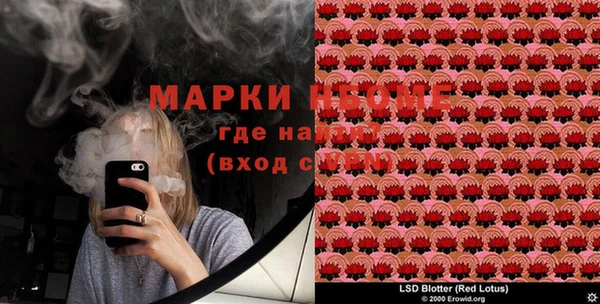ПСИЛОЦИБИНОВЫЕ ГРИБЫ Новозыбков