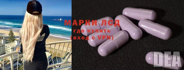 ПСИЛОЦИБИНОВЫЕ ГРИБЫ Новозыбков