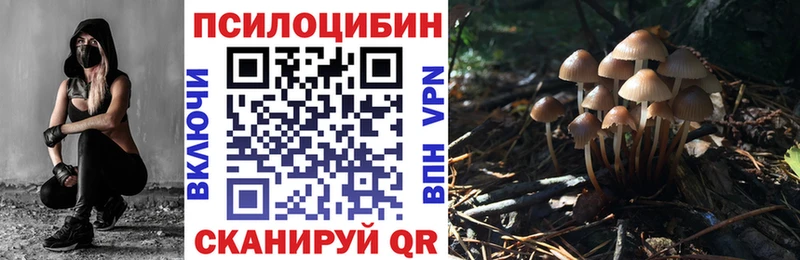 OMG как войти  Кинель  Галлюциногенные грибы GOLDEN TEACHER 