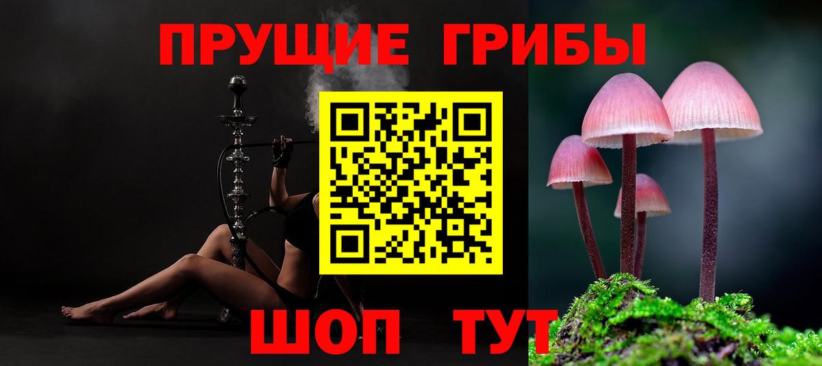 Галлюциногенные грибы MAGIC MUSHROOMS  Галлюциногенные грибы мицелий  как найти   Кинель  Вход с VPN 
