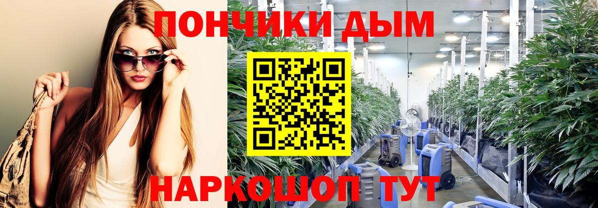 МАРИХУАНА гибрид Кинель